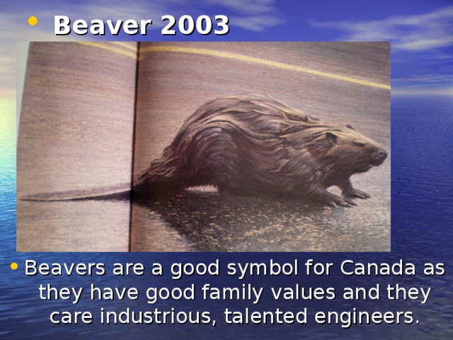 Beaver 2003   Beavers are a good symbol for Canada as they have good family values and they care industrious, talented engineers.