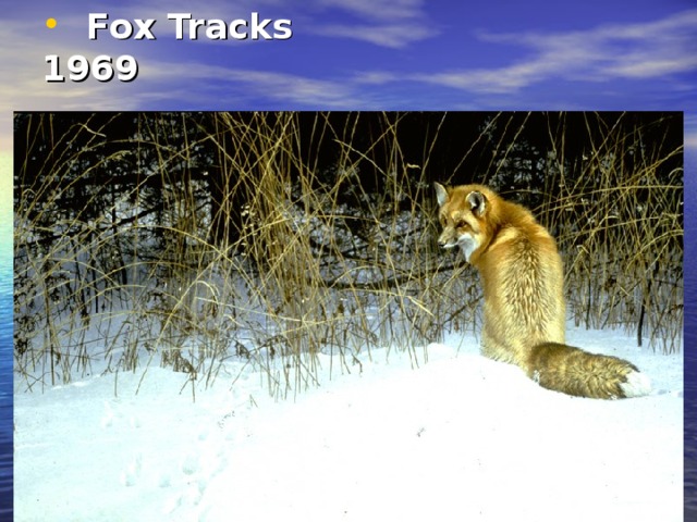 Fox Tracks  1969