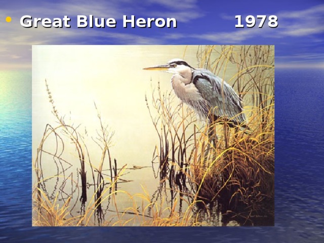 Great Blue Heron  1978