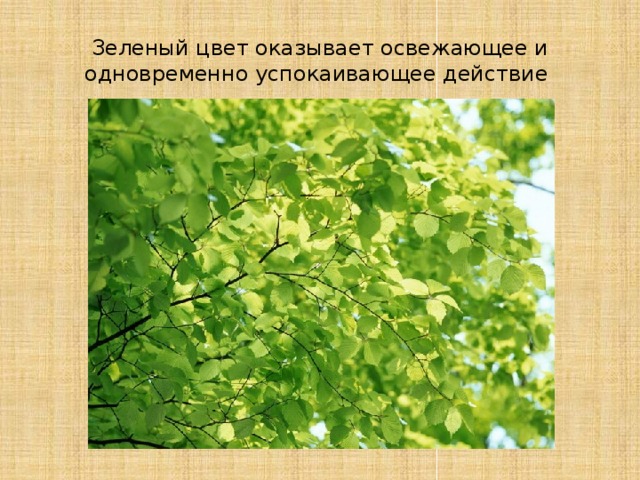 Зеленый цвет оказывает освежающее и одновременно успокаивающее действие