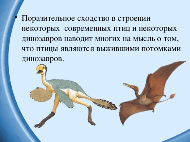 Поразительное сходство в строении некоторых современных птиц и некоторых динозавров наводит многих на мысль о том, что птицы являются выжившими потомками динозавров.