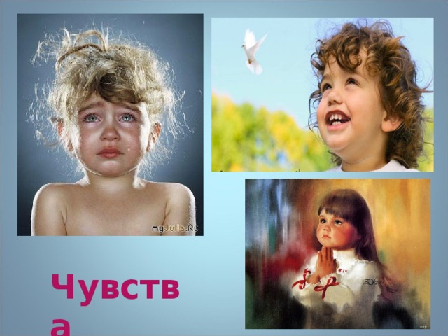 Чувства