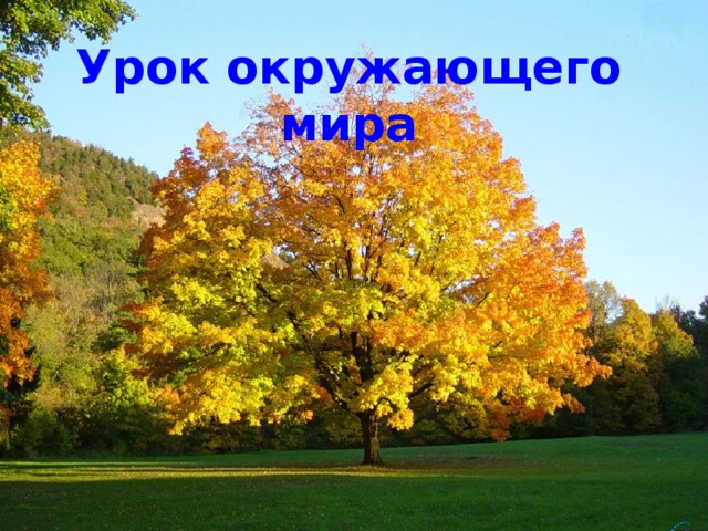 Урок окружающего мира