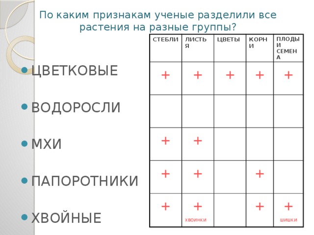 По каким признакам ученые разделили все растения на разные группы? СТЕБЛИ ЛИСТЬЯ + ЦВЕТЫ + + + КОРНИ ПЛОДЫ И СЕМЕНА + + + + + + + + хвоинки + + шишки