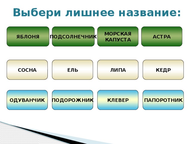 Выбери лишнее название: ЯБЛОНЯ ПОДСОЛНЕЧНИК МОРСКАЯ АСТРА КАПУСТА СОСНА ЕЛЬ ЛИПА КЕДР ОДУВАНЧИК ПОДОРОЖНИК КЛЕВЕР ПАПОРОТНИК