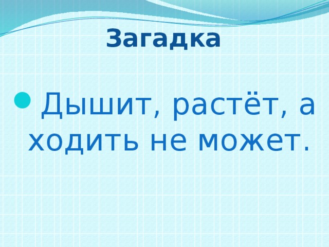 Загадка