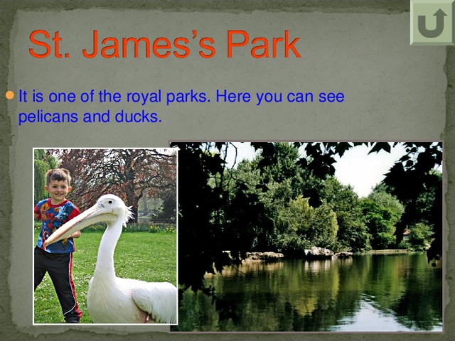 It is one of the royal parks. Here you can see pelicans and ducks.