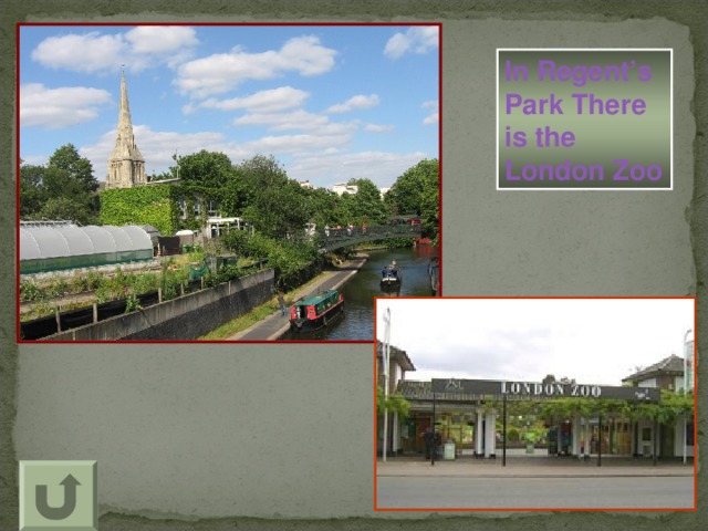 In Regent’s Park There is the London Zoo