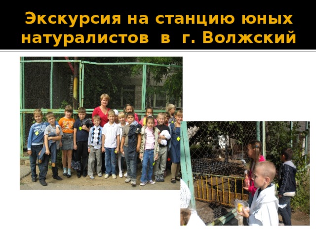 Экскурсия на станцию юных натуралистов в г. Волжский