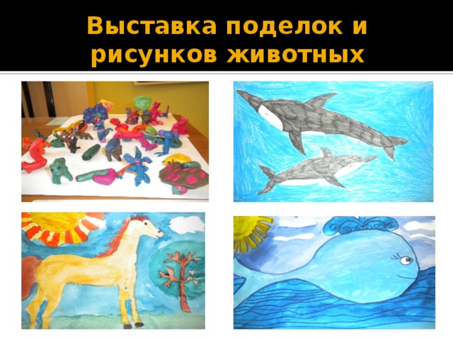 Выставка поделок и рисунков животных