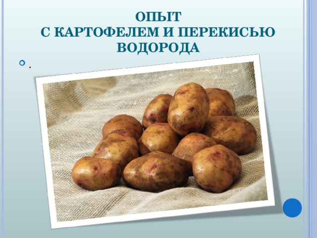 Пероксид водорода и картофель. Эксперименты с картофелем. Опыт с клубнем картофеля. Опыты с картошкой для дошкольников. Опыт с картофелем и перекисью водорода.
