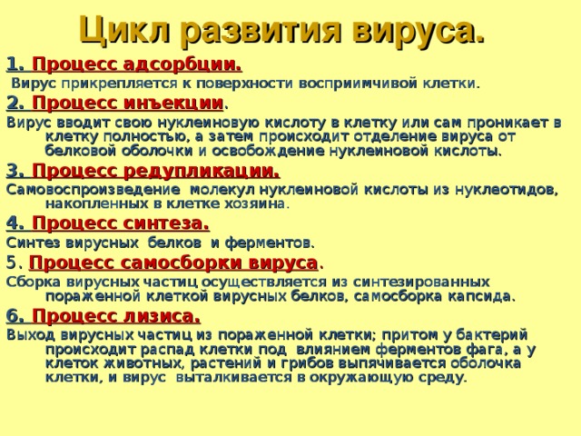 Что правильно вирус заставляет клетку выполнять его программу