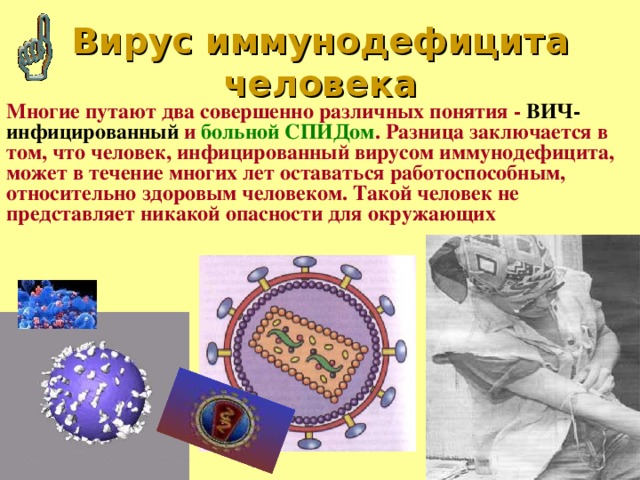 Вич иммунология презентация