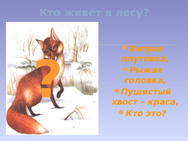 Кто живёт в лесу?  Хитрая плутовка, Рыжая головка, Пушистый хвост – краса, Кто это? ?