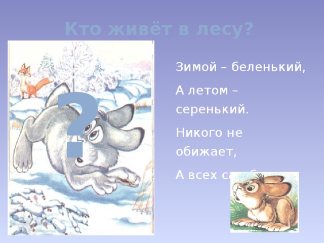 Кто живёт в лесу? Зимой – беленький, А летом – серенький. Никого не обижает, А всех сам боится. ?