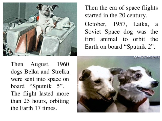 Then the era of space flights started in the 20 century. October, 1957, Laika, a Soviet Space dog was the first animal to orbit the Earth on board “Sputnik 2”. Then August, 1960 dogs Belka and Strelka were sent into space on board “Sputnik 5”. The flight lasted more than 25 hours, orbiting the Earth 17 times.