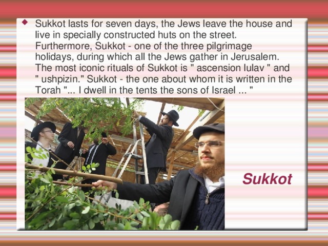 Sukkot lasts for seven days, the Jews leave the house and live in specially constructed huts on the street. Furthermore, Sukkot - one of the three pilgrimage holidays, during which all the Jews gather in Jerusalem. The most iconic rituals of Sukkot is 