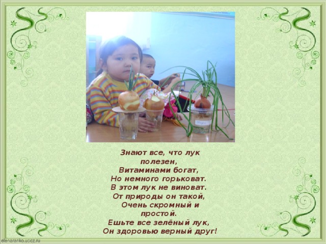 Знают все, что лук полезен,  Витаминами богат,  Но немного горьковат.  В этом лук не виноват.  От природы он такой,  Очень скромный и простой.  Ешьте все зелёный лук,  Он здоровью верный друг!