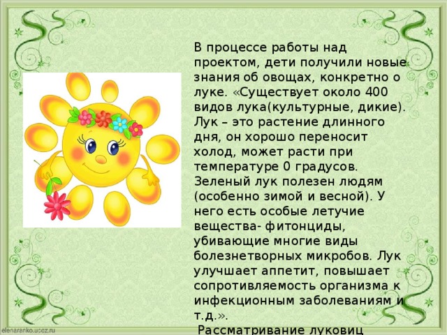 В процессе работы над проектом, дети получили новые знания об овощах, конкретно о луке. «Существует около 400 видов лука(культурные, дикие). Лук – это растение длинного дня, он хорошо переносит холод, может расти при температуре 0 градусов. Зеленый лук полезен людям (особенно зимой и весной). У него есть особые летучие вещества- фитонциды, убивающие многие виды болезнетворных микробов. Лук улучшает аппетит, повышает сопротивляемость организма к инфекционным заболеваниям и т.д.».  Рассматривание луковиц (строение).  Чтобы проверить, когда лук растет лучше, мы выращивали луковицы в разных условиях.