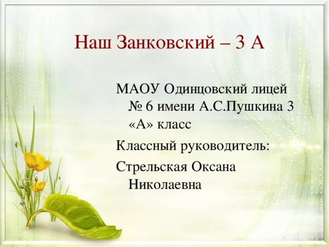 Наш Занковский – 3 А МАОУ Одинцовский лицей № 6 имени А.С.Пушкина 3 «А» класс Классный руководитель: Стрельская Оксана Николаевна