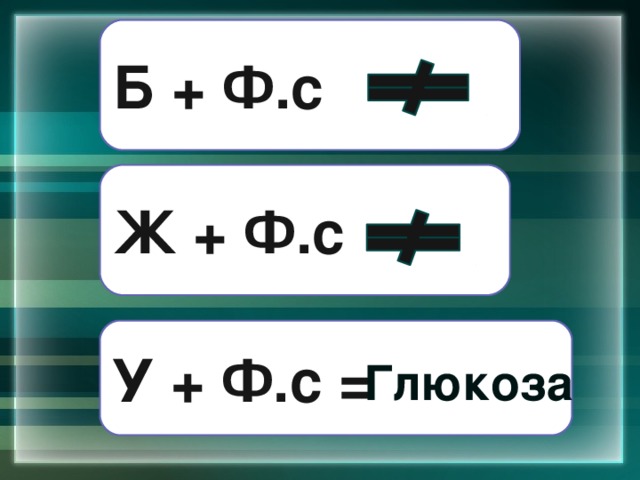 Б + Ф.с Ж + Ф.с У + Ф.с = Глюкоза = Гл Глюкоза