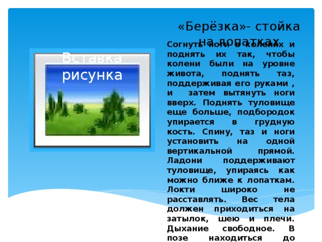 «Берёзка»- стойка на лопатках Вставка рисунка Согнуть ноги в коленях и поднять их так, чтобы колени были на уровне живота, поднять таз, поддерживая его руками , и затем вытянуть ноги вверх. Поднять туловище еще больше, подбородок упирается в грудную кость. Спину, таз и ноги установить на одной вертикальной прямой. Ладони поддерживают туловище, упираясь как можно ближе к лопаткам. Локти широко не расставлять. Вес тела должен приходиться на затылок, шею и плечи. Дыхание свободное. В позе находиться до дискомфорта.