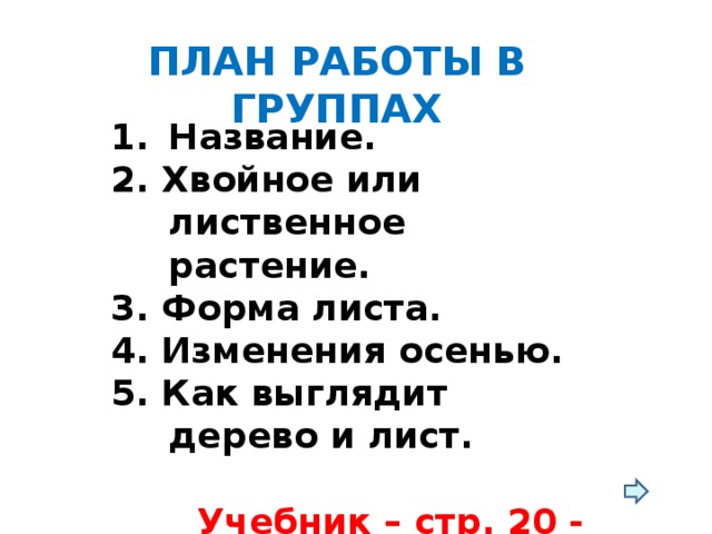 ПЛАН РАБОТЫ В ГРУППАХ Название. 2. Хвойное или лиственное растение. 3. Форма листа. 4. Изменения осенью. 5. Как выглядит дерево и лист.   Учебник – стр. 20 - 21