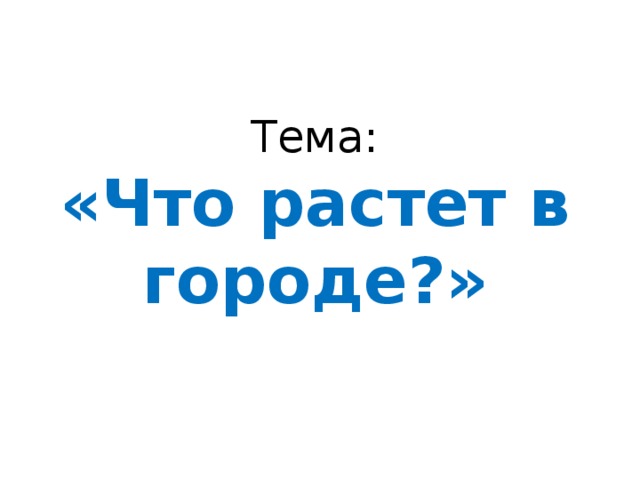 Тема:  «Что растет в городе?»