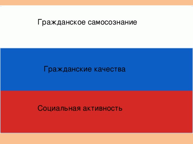 Гражданское самосознание Гражданские качества Социальная активность