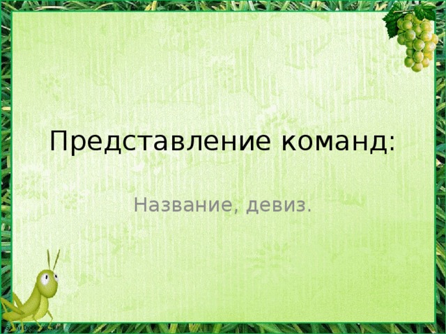 Представление команд: Название, девиз.