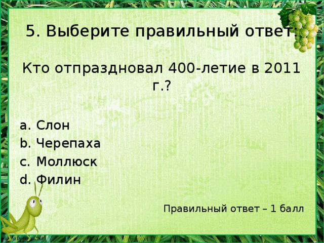 5. Выберите правильный ответ: Возраст самого старого дерева: 8 тысяч лет 100 лет 1 тысяча лет 5 тысяч лет Правильный ответ – 1 балл Ель, растущая в горах Швеции со времени ледникового периода