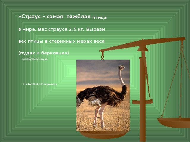 «Страус – самая тяжёлая птица в мире. Вес страуса 2,5 кг. Вырази вес птицы в старинных мерах веса (пудах и берковцах) 2,5:16,38=0,15пуда     2,5:163,8=0,015 берковца