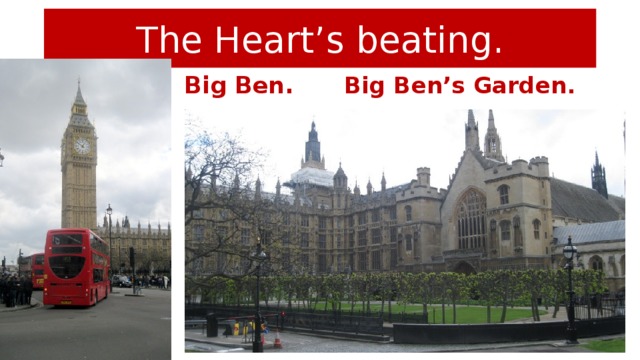 The Heart’s beating. Big Ben. Big Ben’s Garden.