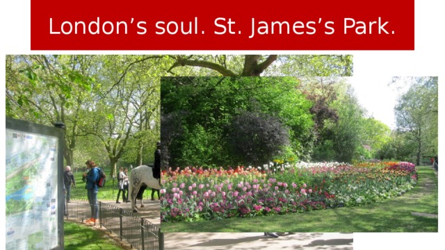 London’s soul. St. James’s Park.