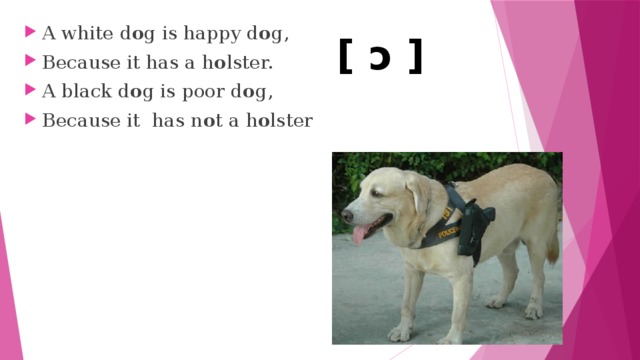 A white d o g is happy d o g, Because it has a h o lster. A black d o g is poor d o g, Because it has n o t a h o lster