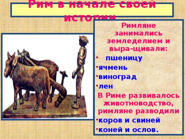 Рим в начале своей истории. Римляне занимались земледелием и выра-щивали:  пшеницу ячмень виноград лен В Риме развивалось животноводство, римляне разводили