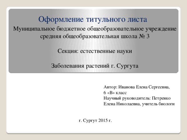 Муниципальное бюджетное общеобразовательное учреждение проект