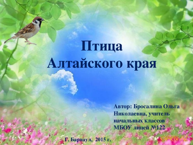 Алтайские Птицы Фото И Названия