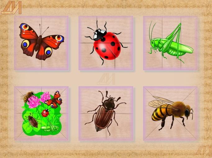 Календарное по теме насекомые. Насекомые для дошкольников. Насекомые. Карточки. Карточки насекомых для дошкольников. Пазл насекомые для детей.