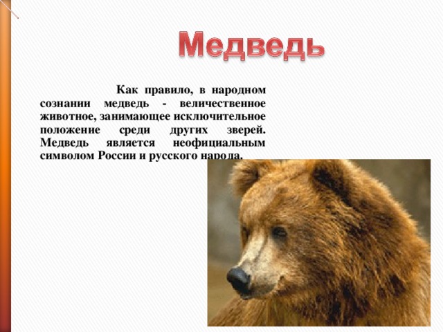 Как правило, в народном сознании медведь - величественное животное, занимающее исключительное положение среди других зверей. Медведь является неофициальным символом России и русского народа.