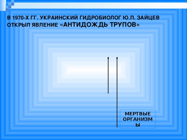 В 1970-Х ГГ. УКРАИНСКИЙ ГИДРОБИОЛОГ Ю.П. ЗАЙЦЕВ ОТКРЫЛ ЯВЛЕНИЕ «АНТИДОЖДЬ ТРУПОВ» МЕРТВЫЕ ОРГАНИЗМЫ