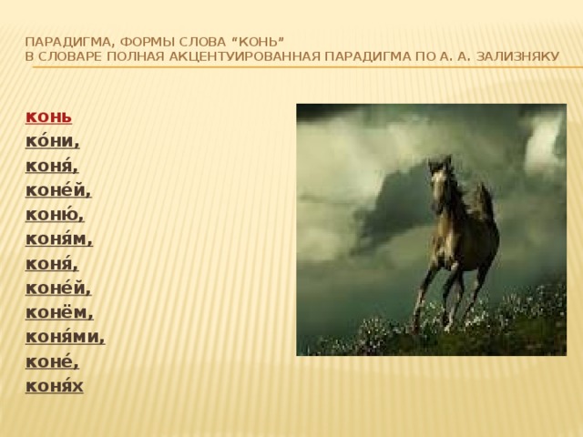 парадигма, формы слова “конь”  в словаре Полная акцентуированная парадигма по А. А. Зализняку   конь ко́ни, коня́, коне́й, коню́, коня́м, коня́, коне́й, конём, коня́ми, коне́, коня́х