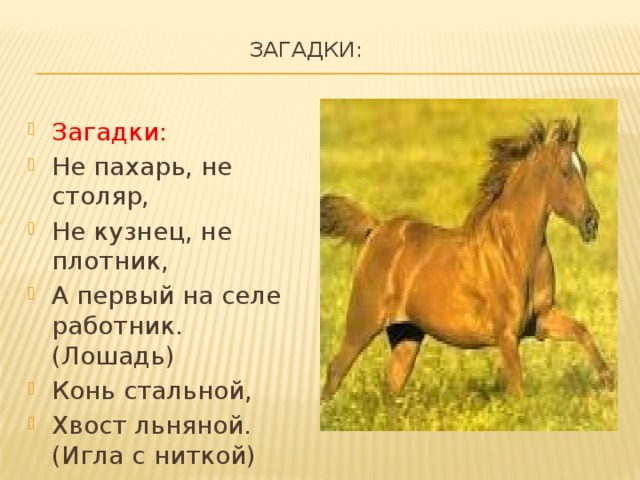 Загадки:   Загадки: Не пахарь, не столяр, Не кузнец, не плотник, А первый на селе работник. (Лошадь) Конь стальной, Хвост льняной. (Игла с ниткой)