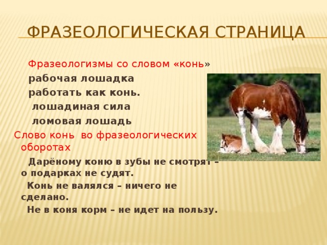 Конь текст. Фразеологизмы со словом лошадь. Фразеологизмы про коня. Фразеологизмы про лошадь. Фразеологизм со словом лошадь конь.