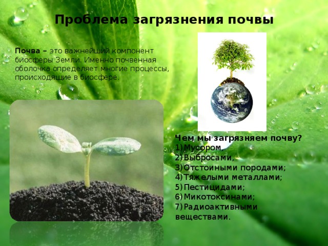 Проблема загрязнения почвы Почва – это важнейший компонент биосферы Земли. Именно почвенная оболочка определяет многие процессы, происходящие в биосфере. Чем мы загрязняем почву? 1)Мусором, 2)Выбросами, 3)Отстоиными породами; 4)Тяжелыми металлами; 5)Пестицидами; 6)Микотоксинами; 7)Радиоактивными веществами.