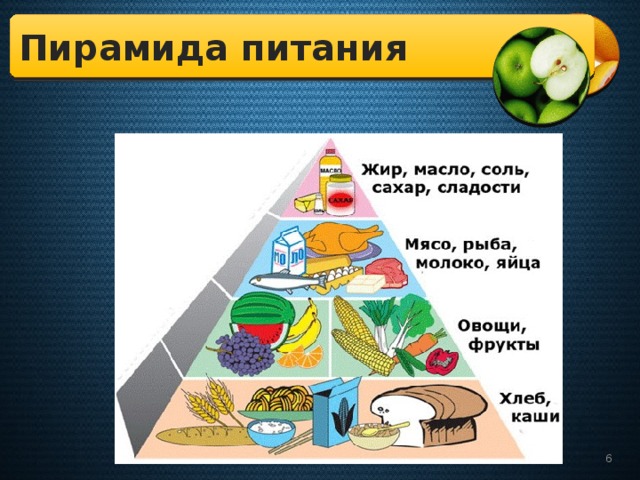 Связь питания. Пирамида питания кота.