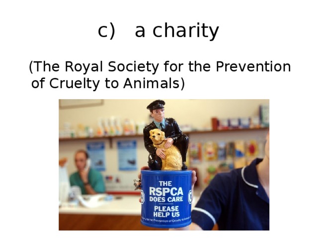 c) a charity  (The Royal Society for the Prevention of Cruelty to Animals)