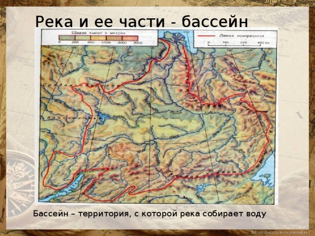 Река и ее части - бассейн Бассейн – территория, с которой река собирает воду