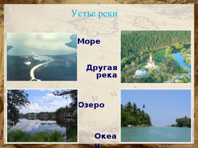 Устье реки Море  Другая  река Озеро Океан