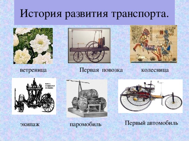 История развития транспорта. ветреница Первая повозка  колесница  Первый автомобиль паромобиль  экипаж